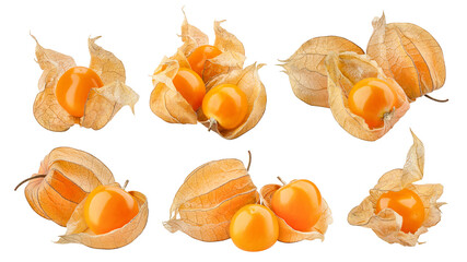 Cape gooseberry, physalis isolated on white background, full depth of field