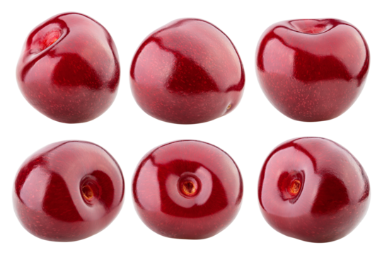 Cherry isolated on white background, full depth of field