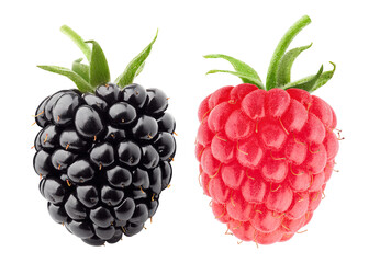 raspberry, blackberry isolated on white background, full depth of field