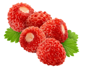 wild Strawberry isolated on white background, full depth of field