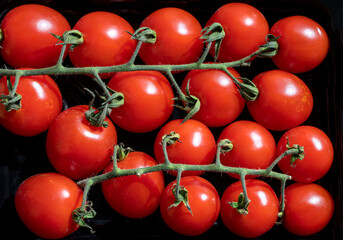 View from above of group red fresh ripened cherry tomatoes on black background.