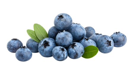 blueberry, isolated on white background, full depth of field