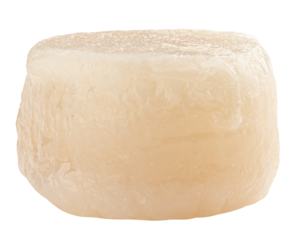 scallop isolated on white background, full depth of field