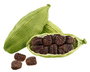 Cardamom isolated on white background, full depth of field
