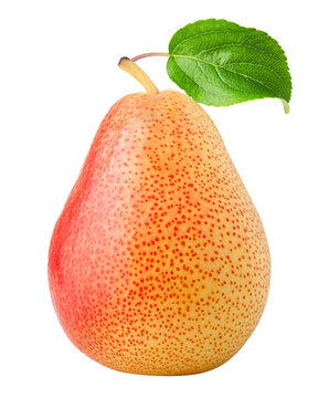 Pear isolated on white background, full depth of field