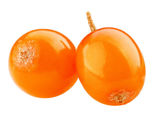Sea buckthorn isolated on white background, full depth of field