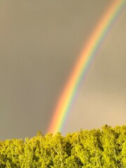 rainbow in the sky
