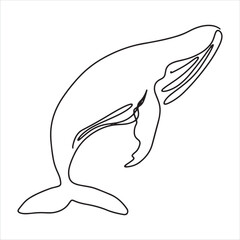 continuous line one line aquatic animals whale sea swimming cute animals hand drawn illustration vector