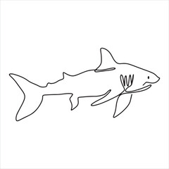 continuous line one line aquatic animal shark hand drawn illustration vector