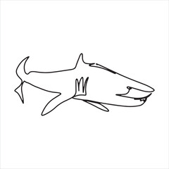 continuous line one line aquatic animal shark hand drawn illustration vector