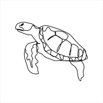 continuous line one line aquatic animal turtle sea swimming cute animal hand drawn illustration vector