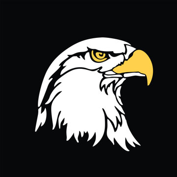 american bald eagle illustration