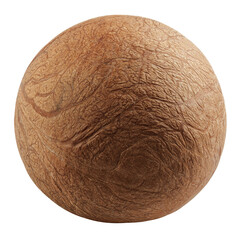 Coconut without shell, isolated on white background, full depth of field