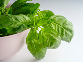 fresh basil leaves