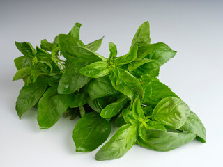 fresh basil leaves