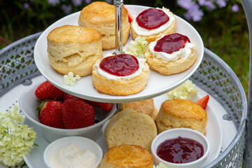 British scones with jam, clotted cream and strawberries on a tray in garden