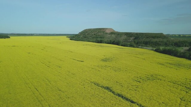 A field of blooming yellow rapeseed. At the edge of the field is a mothballed city dump. Aerial photography