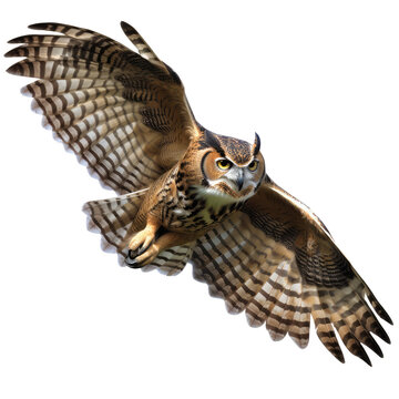 flying great horned owl isolated on white