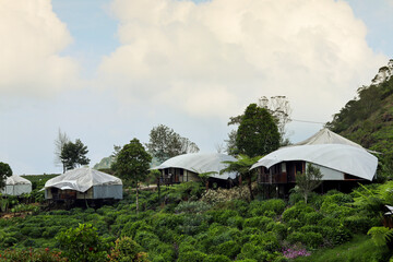 the concept of a cottage or inn that blends with nature