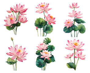 Set of watercolor lotus flowers. Generative Ai - obrazy, fototapety, plakaty