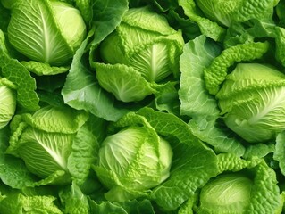 Obraz premium Cabbage background as seamless tile (generative AI)