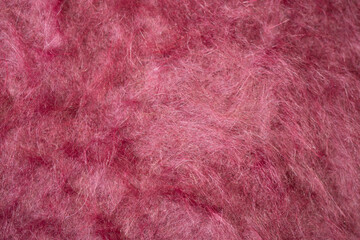 fluffy angora, burgundy background