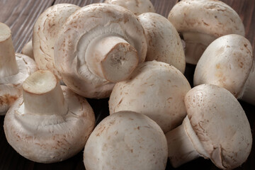 porcini champignon mushrooms on a wooden background close-up