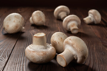porcini champignon mushrooms on a wooden background close-up