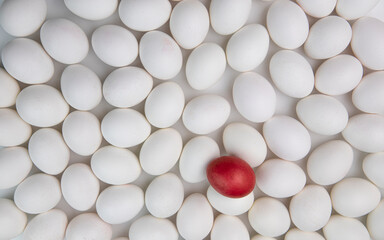 Red egg on white eggs on a white background
