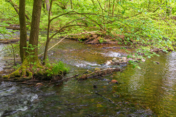 Landschaft im Nebeldurchbruchstal zwischen Serrahn und Kuchelmiß