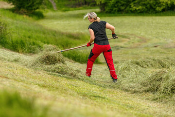 Fototapeta premium Female farmer concept: Portrait of a young blonde woman raking grass from a steep border of a field to the windrows during grass mowing process