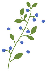 Decorative element of the blueberries on the branches with leaves. Healthy fresh nutrition. Fresh juicy blueberry. Vector illustration