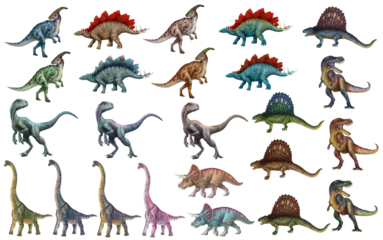Fotobehang Dinosaur set. Stegosaurus, Dimetrodon, Velociraptor, Triceratops, Brachiosaurus, Tyrex, Parasaurolophus © inna72