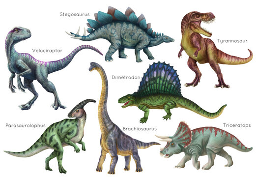 Fototapeta Dinosaur set. Stegosaurus, Dimetrodon, Velociraptor, Triceratops, Brachiosaurus, Tyrex, Parasaurolophus