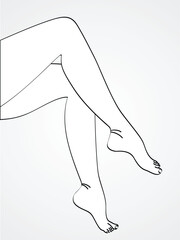 Female leg vector posing leg over leg thin and thick stroke