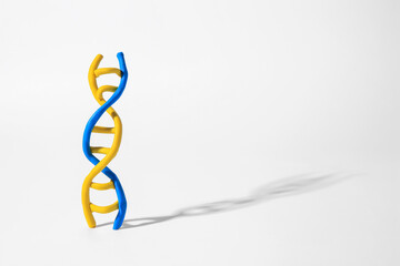 DNA molecule model made of colorful plasticine on white background, space for text