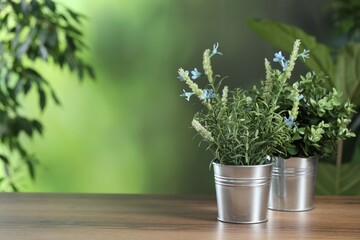 Fresh blooming blue lavender flowers and oregano growing in pots on wooden table outdoors, space for text