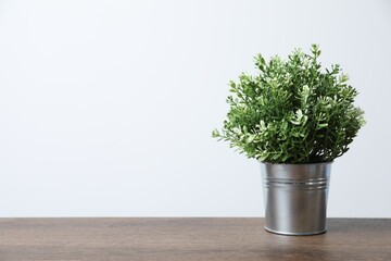 Aromatic green potted thyme on wooden table against white background, space for text