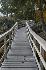 Wooden bridge walkway in the forest