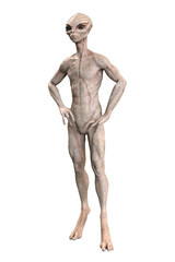 Grey alien on transparent background, 3d render