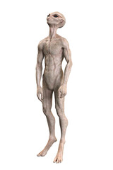 Grey alien on transparent background, 3d render