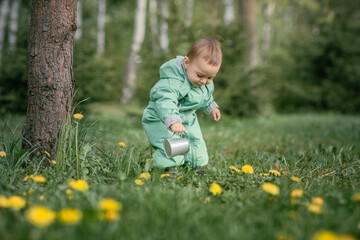boy 1 year old watering yellow dandelions, a child with a watering can in the meadow, enjoying nature