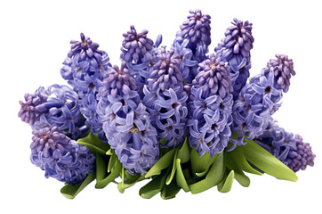 bouquet of lilac - Powered by Adobe
