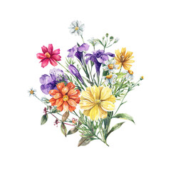 Watercolor illustration in botanical style with wild flowers. Bouquet of flowers isolated on white background.