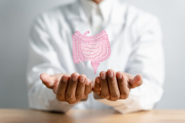 doctor in a white coat hands holding stomach with intestine virtual icon, probiotics food for gut health, colon cancer, bowel inflammatory. Health checkup concept... - obrazy, fototapety, plakaty