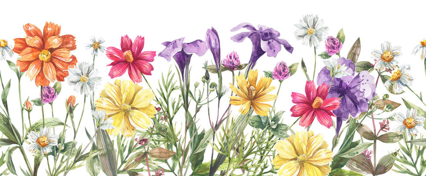 Watercolor, floral seamless border with cosmea flowers, bluebells and herbs. Yellow flowers, orange flowers background.