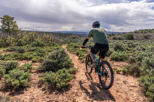 Matured Caucasian man riding away a mountain bicycle on a sandy path, Lower Sage Hen Trail Loop, McPhee Recreation Area, San Juan National Forest, Colorado