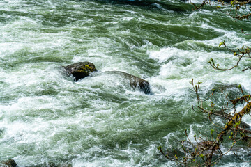 Snoqualmie River Whitewater 7