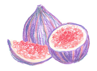 Composition of appetizing sweet ripe purple violet figs fruits isolated on white background.Different shaped, slices, whole