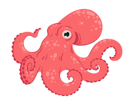 Sea octopus. Cartoon ocean animal character, aquatic fauna creature with tentacles flat vector illustration